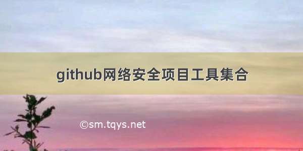 github网络安全项目工具集合