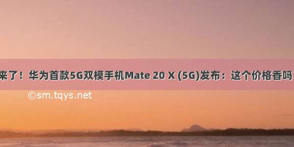 来了！华为首款5G双模手机Mate 20 X (5G)发布：这个价格香吗？