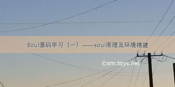 Soul源码学习（一）——soul原理及环境搭建