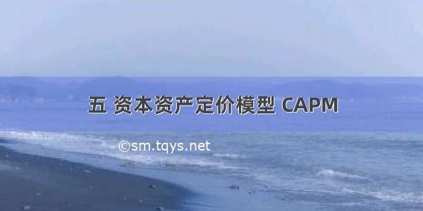 五 资本资产定价模型 CAPM