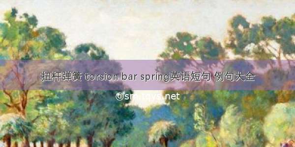 扭杆弹簧 torsion bar spring英语短句 例句大全