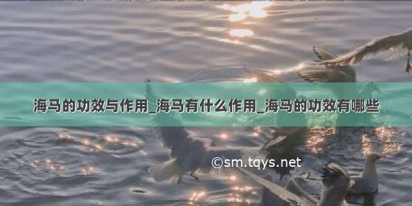 海马的功效与作用_海马有什么作用_海马的功效有哪些