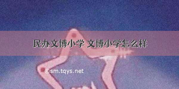 民办文博小学 文博小学怎么样