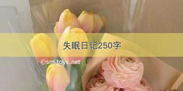 失眠日记250字