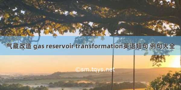 气藏改造 gas reservoir transformation英语短句 例句大全