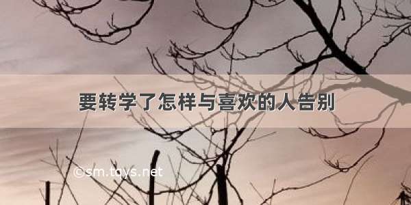 要转学了怎样与喜欢的人告别