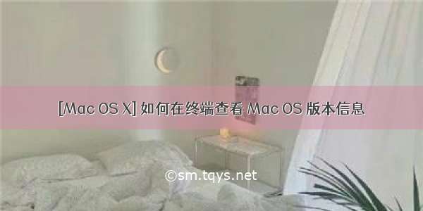 [Mac OS X] 如何在终端查看 Mac OS 版本信息