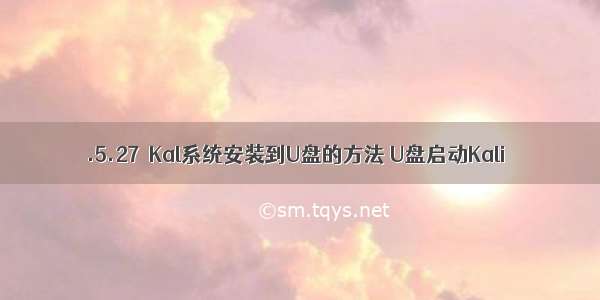 .5.27  Kal系统安装到U盘的方法 U盘启动Kali