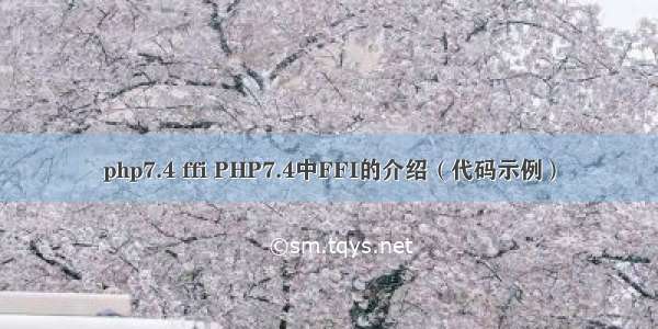 php7.4 ffi PHP7.4中FFI的介绍（代码示例）