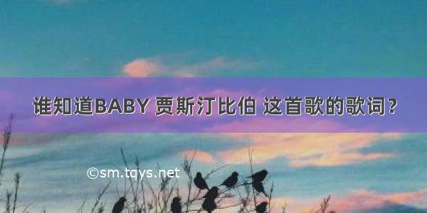 谁知道BABY 贾斯汀比伯 这首歌的歌词？