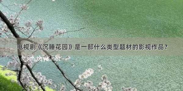 电视剧《沉睡花园》是一部什么类型题材的影视作品？