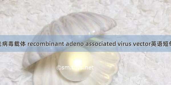 重组腺相关病毒载体 recombinant adeno associated virus vector英语短句 例句大全
