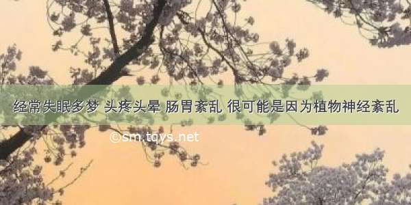 经常失眠多梦 头疼头晕 肠胃紊乱 很可能是因为植物神经紊乱