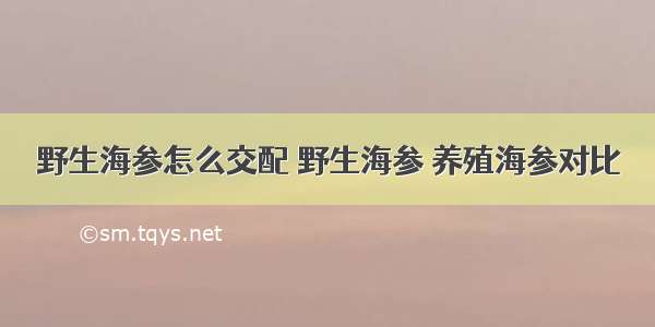 野生海参怎么交配 野生海参 养殖海参对比