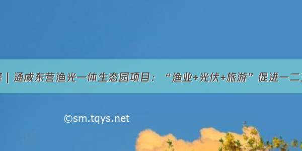 重点项目观摩｜通威东营渔光一体生态园项目：“渔业+光伏+旅游”促进一二三产融合发展