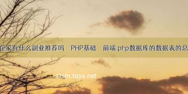 赋闲在家有什么副业推荐吗 – PHP基础 – 前端 php数据库的数据表的总条数