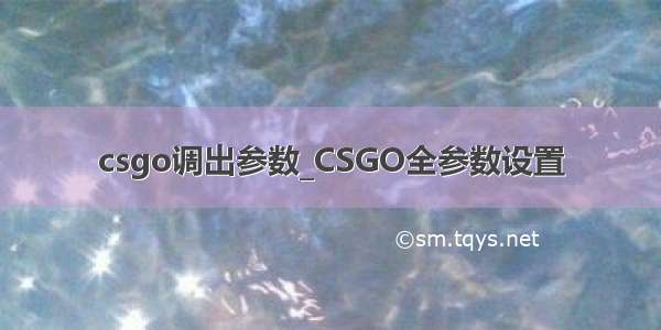 csgo调出参数_CSGO全参数设置