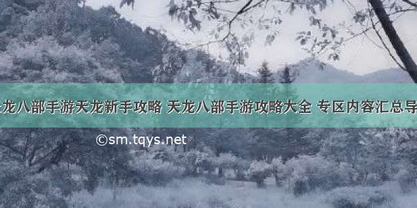 天龙八部手游天龙新手攻略 天龙八部手游攻略大全 专区内容汇总导航