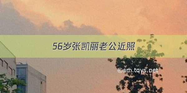 56岁张凯丽老公近照