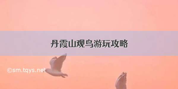 丹霞山观鸟游玩攻略