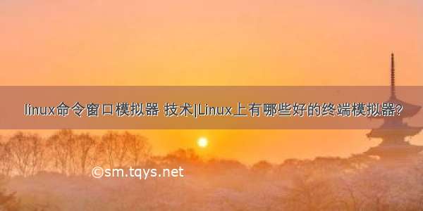 linux命令窗口模拟器 技术|Linux上有哪些好的终端模拟器?