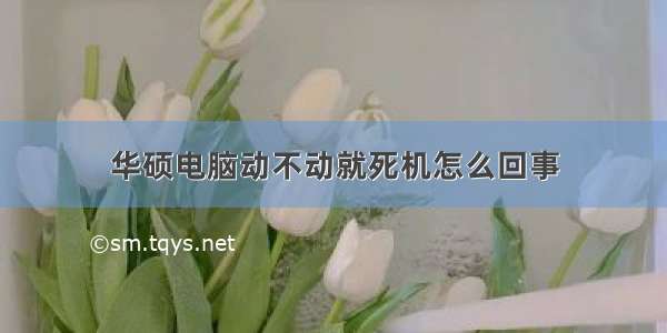 华硕电脑动不动就死机怎么回事