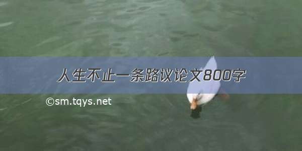 人生不止一条路议论文800字