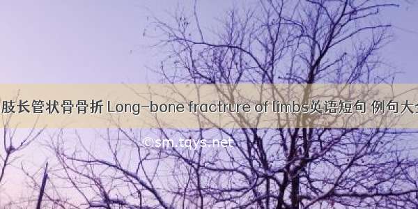 四肢长管状骨骨折 Long-bone fractrure of limbs英语短句 例句大全