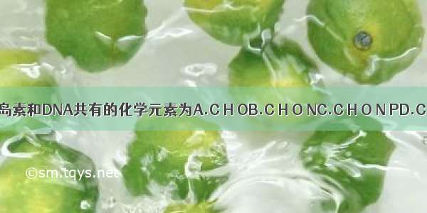 糖元 磷脂 胰岛素和DNA共有的化学元素为A.C H OB.C H O NC.C H O N PD.C H O N P S