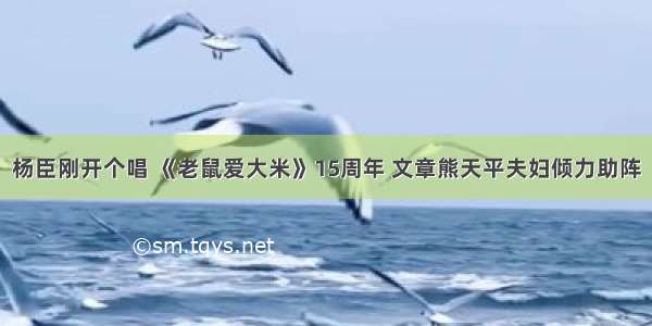 杨臣刚开个唱 《老鼠爱大米》15周年 文章熊天平夫妇倾力助阵