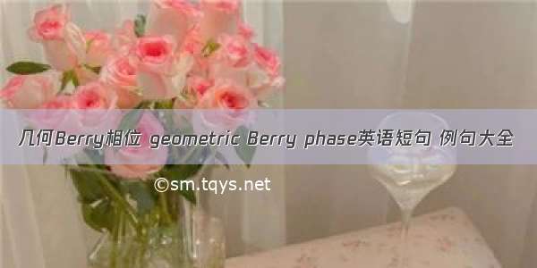 几何Berry相位 geometric Berry phase英语短句 例句大全