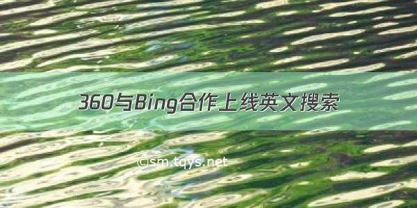 360与Bing合作上线英文搜索