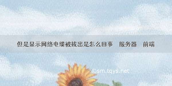 但是显示网络电缆被拔出是怎么回事 – 服务器 – 前端