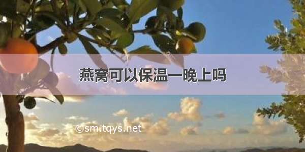 燕窝可以保温一晚上吗