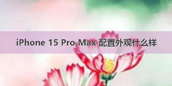 iPhone 15 Pro Max 配置外观什么样