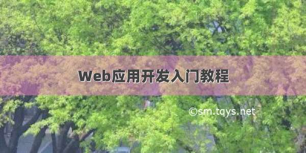 Web应用开发入门教程