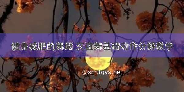 健身减肥的舞蹈 交谊舞基础动作分解教学