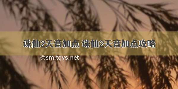 诛仙2天音加点 诛仙2天音加点攻略