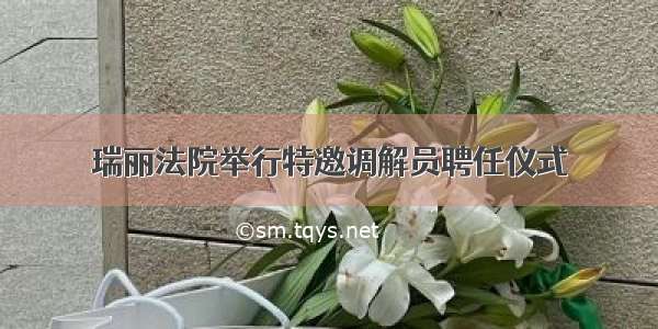 瑞丽法院举行特邀调解员聘任仪式