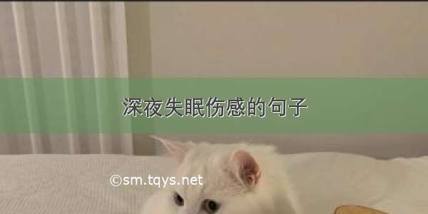 深夜失眠伤感的句子