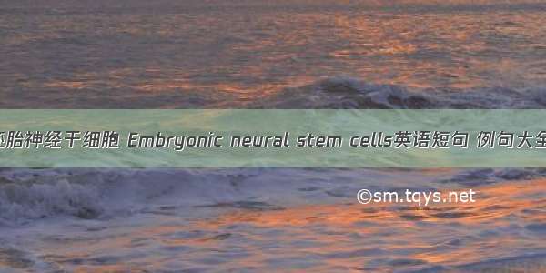 胚胎神经干细胞 Embryonic neural stem cells英语短句 例句大全