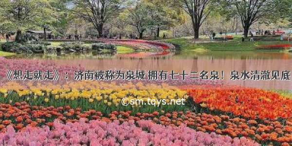 《想走就走》：济南被称为泉城 拥有七十二名泉！泉水清澈见底！