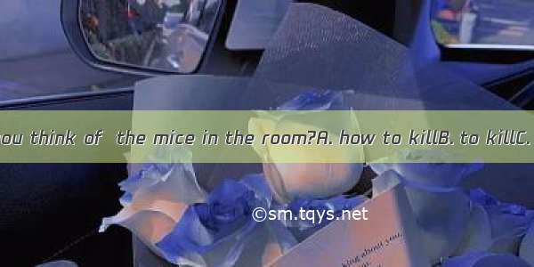 What way can you think of  the mice in the room?A. how to killB. to killC. killingD. kille
