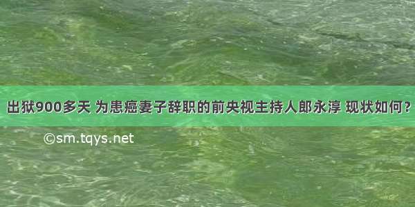 出狱900多天 为患癌妻子辞职的前央视主持人郎永淳 现状如何？