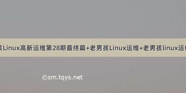 老男孩Linux高新运维第28期最终篇+老男孩Linux运维+老男孩linux运维全套