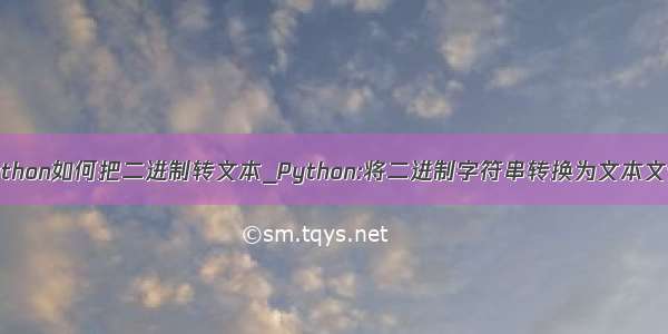 python如何把二进制转文本_Python:将二进制字符串转换为文本文件