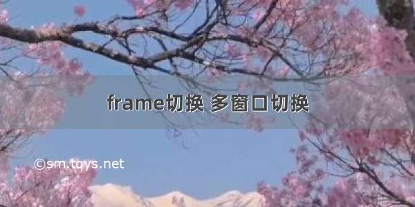 frame切换 多窗口切换