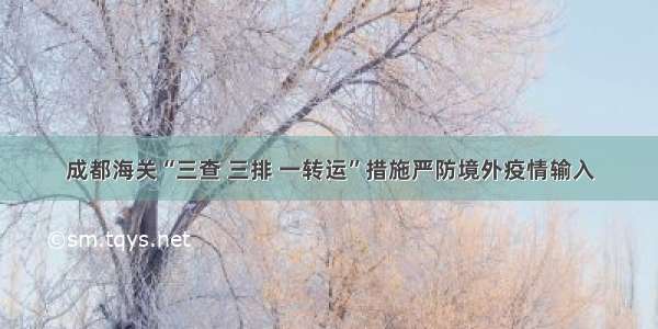 成都海关“三查 三排 一转运”措施严防境外疫情输入