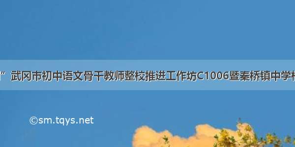 “国培计划”武冈市初中语文骨干教师整校推进工作坊C1006暨秦桥镇中学校本研修活动