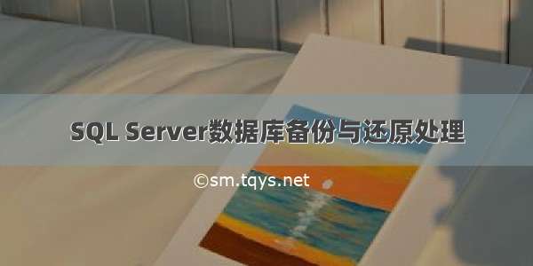 SQL Server数据库备份与还原处理